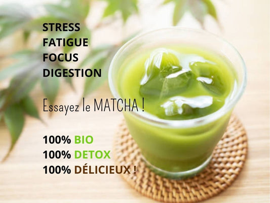 Matcha VITA  (Poudre ''PREMIUM - Bio'' 100gr.)